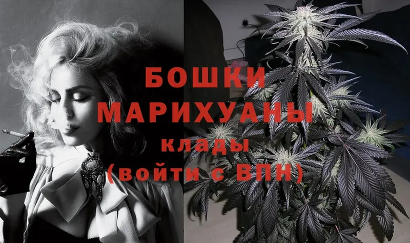 Бошки Шишки White Widow  купить наркотик  Опочка 